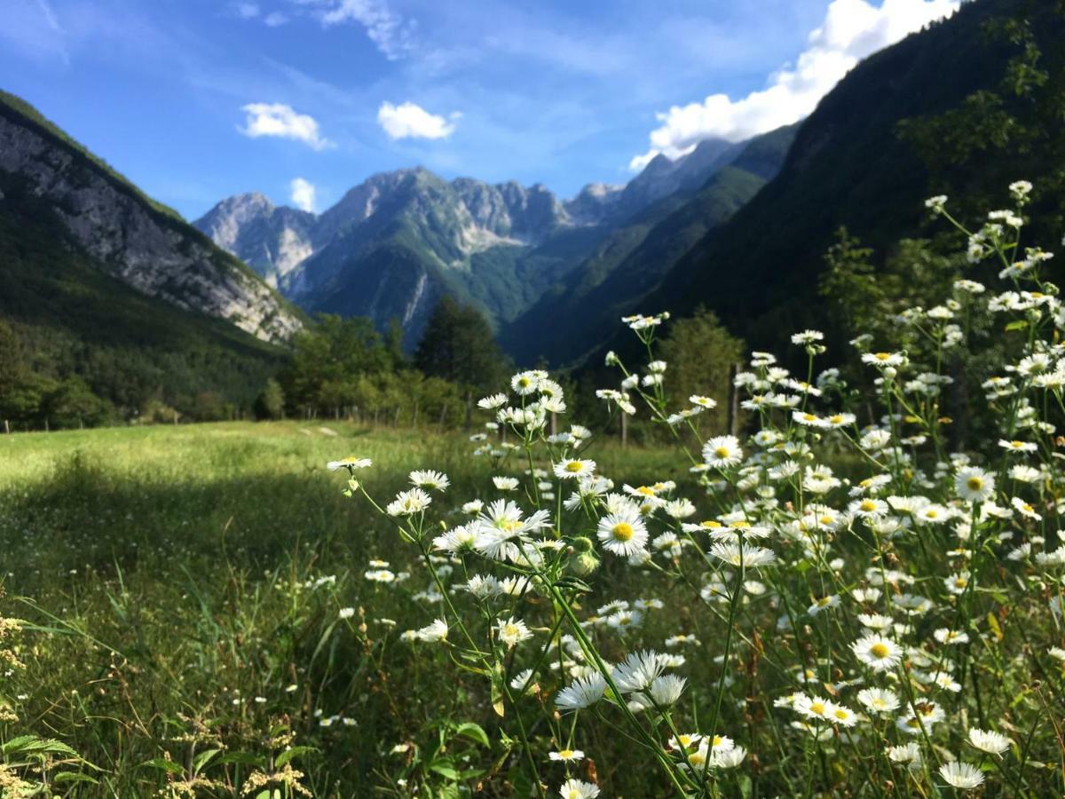 Hisa Patricija Lägenhet Soča Exteriör bild