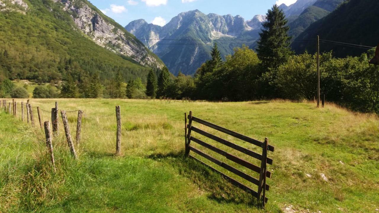 Hisa Patricija Lägenhet Soča Exteriör bild