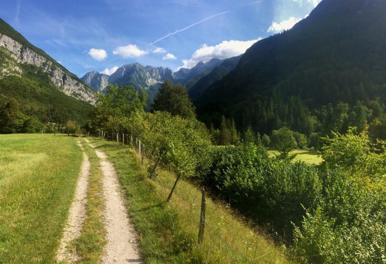 Hisa Patricija Lägenhet Soča Exteriör bild